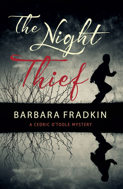 The Night Thief, Barbara Fradkin