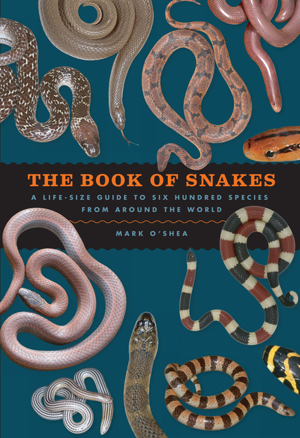 The Book of Snakes, Mark O'Shea