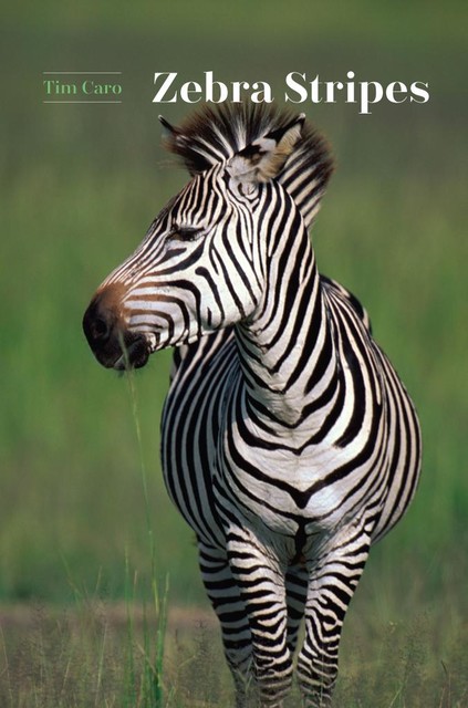 Zebra Stripes, Tim Caro