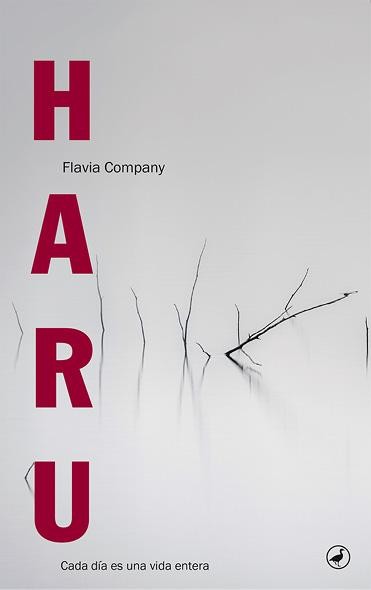 Haru, Flavia Company i Navau