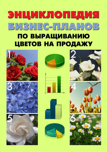 Энциклопедия бизнес-планов по выращиванию цветов на продажу, А.С. Бруйло