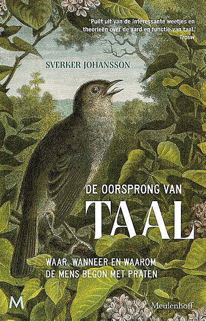 De oorsprong van taal, Sverker Johansson
