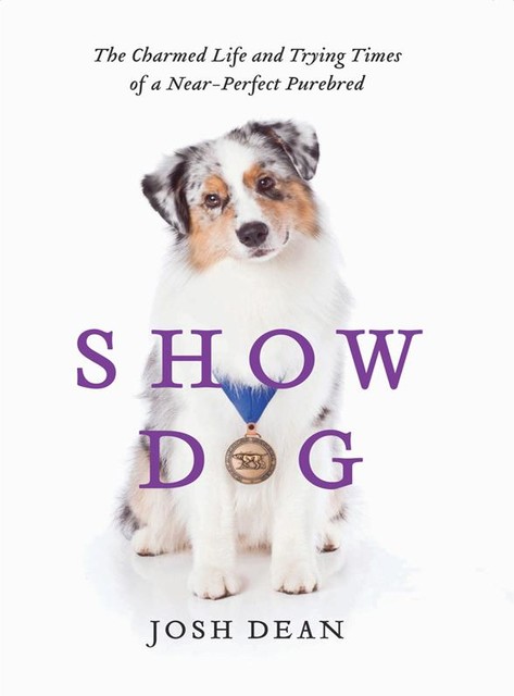 Show Dog, Josh Dean