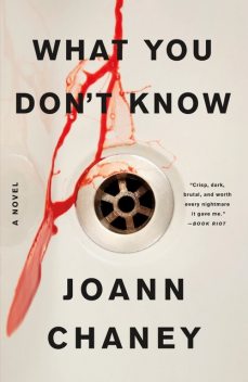 What You Don't Know, JoAnn Chaney