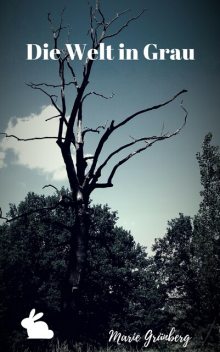 Die Welt in grau, Marie Grünberg