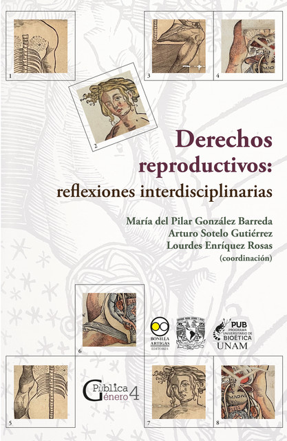 Derechos reproductivos: reflexiones interdisciplinarias, Arturo Sotelo Gutiérrez, Lourdes Enríquez Rosas, María del Pilar González Barreda