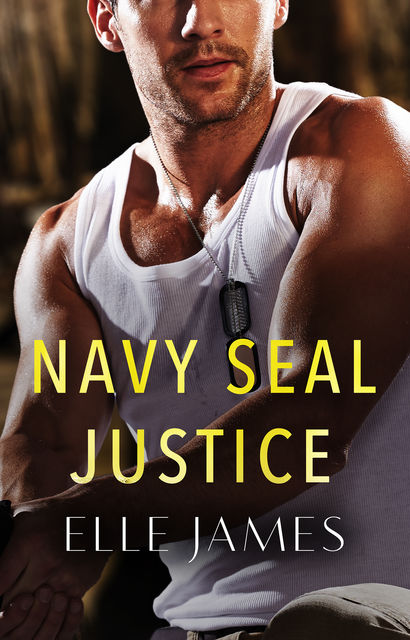 Navy Seal Justice, Elle James