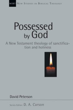 Possessed by God, David Peterson