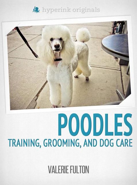 Poodle: Training, Grooming, and Dog Care, Valerie Fulton