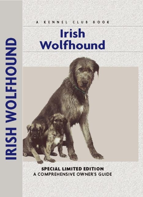 Irish Wolfhound, Alice Kane