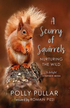 A Scurry of Squirrels, Polly Pullar