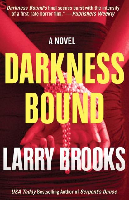 Darkness Bound, Larry Brooks