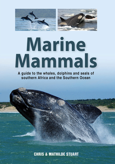 Marine Mammals, Chris Stuart