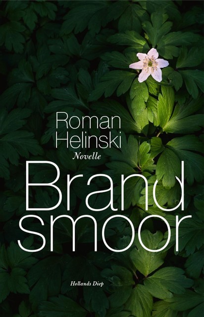 Brandsmoor, Roman Helinski