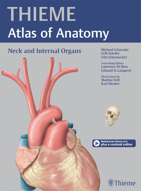 Neck and Internal Organs (THIEME Atlas of Anatomy), Michael Schuenke, Erik Schulte, Udo Schumacher