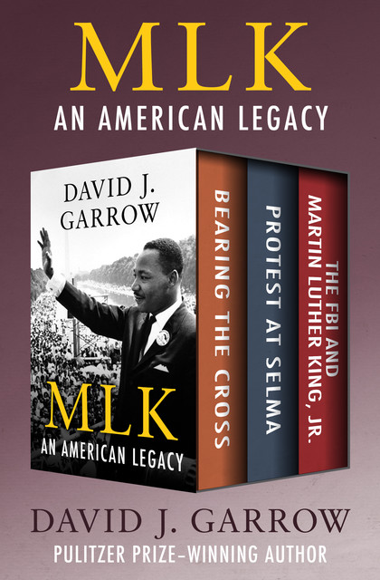 MLK: An American Legacy, David Garrow