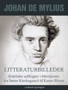 Litteraturbilleder: Æstetiske udflugter i litteraturen fra Søren Kierkegaard til Karen Blixen, Johan de Mylius