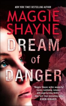 Dream of Danger, Maggie Shayne