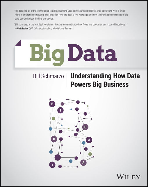 Big Data, Bill Schmarzo