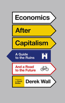 Economics After Capitalism, Derek Wall