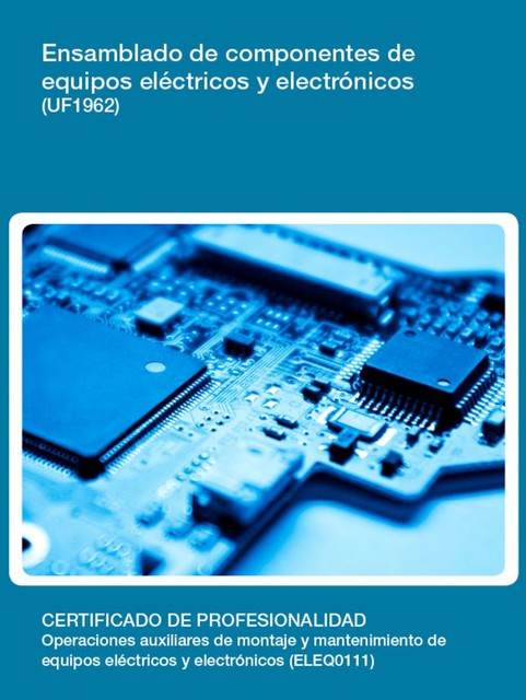 UF1962 – Ensamblado de componentes de equipos eléctricos y electrónicos, Manuel Lara Silva