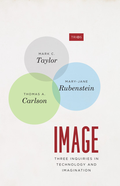 Image, Mary-Jane Rubenstein, Mark Taylor, Thomas A. Carlson