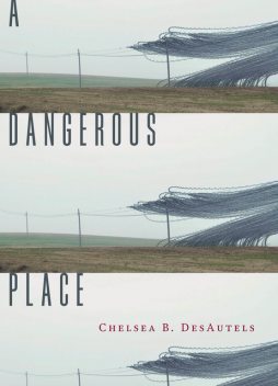 A Dangerous Place, Chelsea B. DesAutels