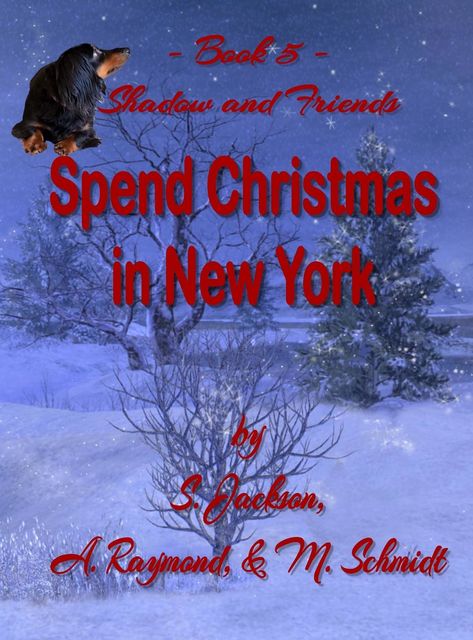 Shadow and Friends Spend Christmas in New York, Jackson, raymond