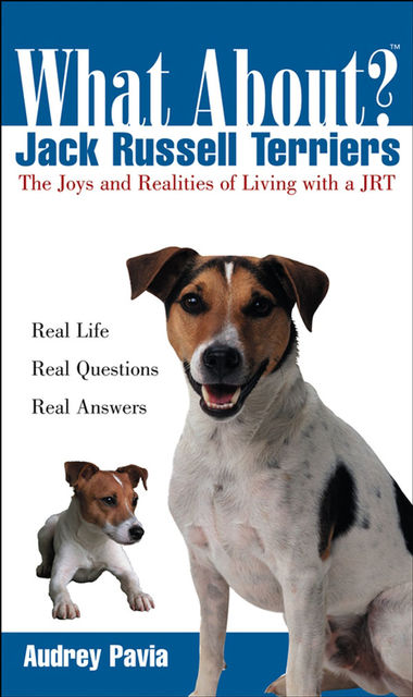 What About Jack Russell Terriers, Audrey Pavia