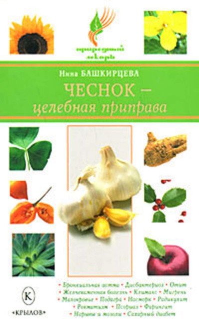 Чеснок – целебная приправа, Нина Башкирцева