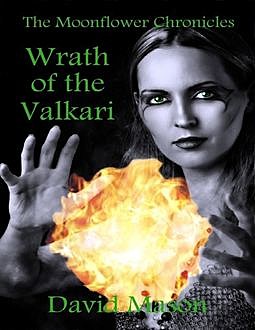 Wrath of the Valkari, David Mason