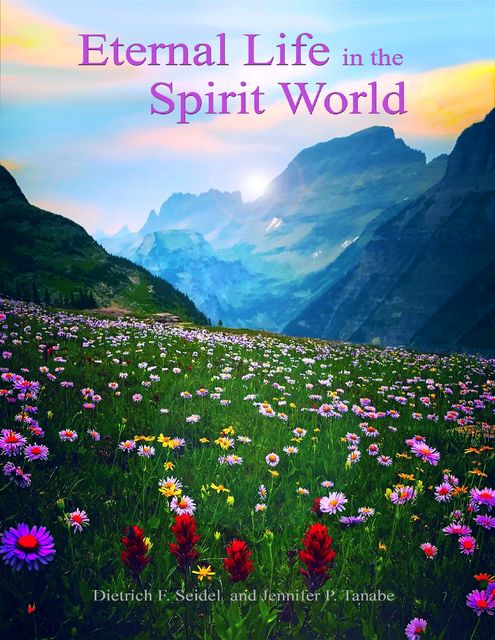 Eternal Life In the Spirit World, Jennifer P.Tanabe, Dietrich F. Seidel