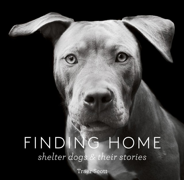 Finding Home, Traer Scott