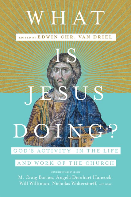 What Is Jesus Doing, Edwin Chr. Van Driel