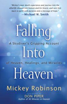 Falling Into Heaven, Mickey Robinson