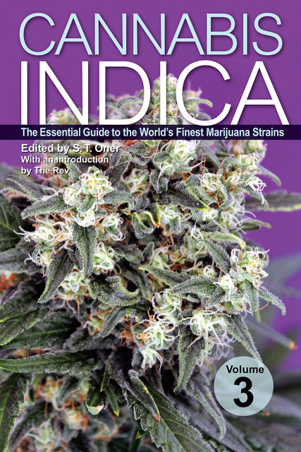 Cannabis Indica Volume 3, S.T. Oner, The Rev