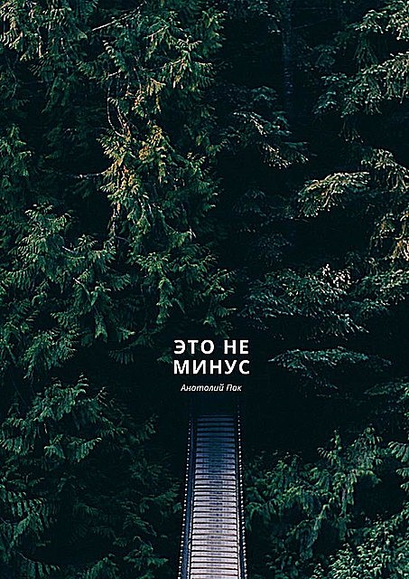 Это не минус, Анатолий Пак
