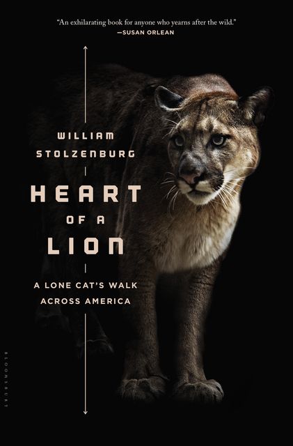 Heart of a Lion, William Stolzenburg