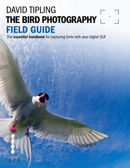 The Bird Photography Field Guide, David Tipling