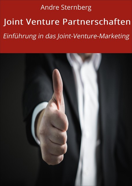 Joint Venture Partnerschaften, André Sternberg