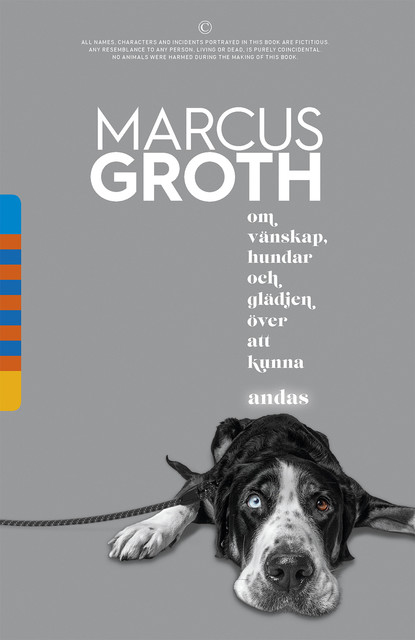 Om vänskap, hundar och glädjen över att kunna andas, Marcus Groth