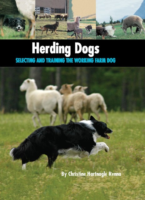 Herding Dogs, Christine Hartnagle Renna