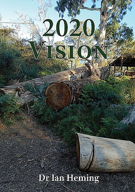 2020 Vision, Ian Heming