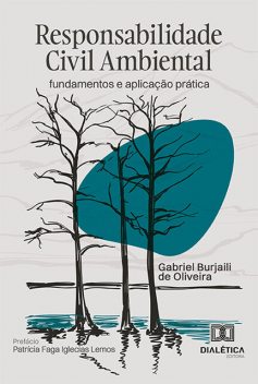 Responsabilidade Civil Ambiental, Gabriel Burjaili de Oliveira