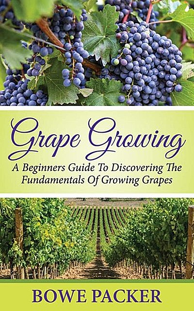 Grape Growing, Bowe Packer