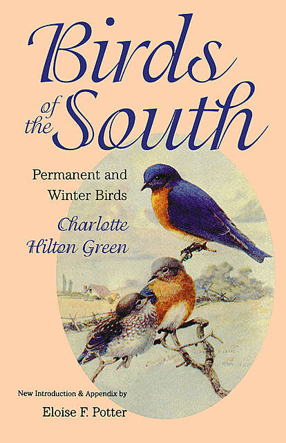 Birds of the South, Charlotte Green
