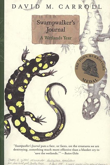 Swampwalker's Journal, David Carroll