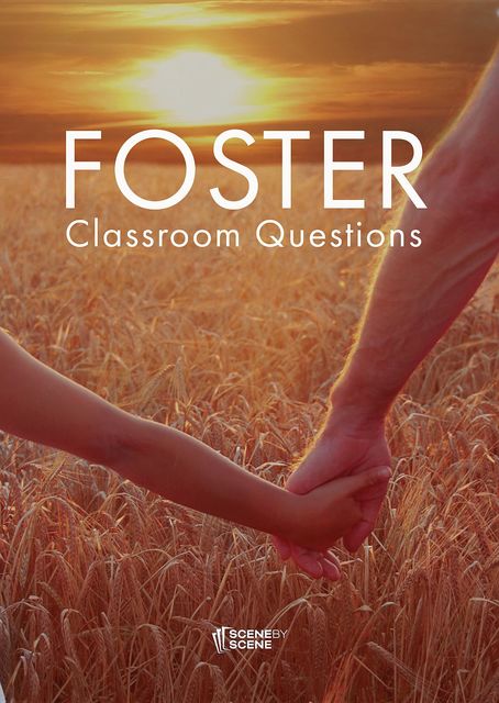 Foster Classroom Questions, Amy Farrell
