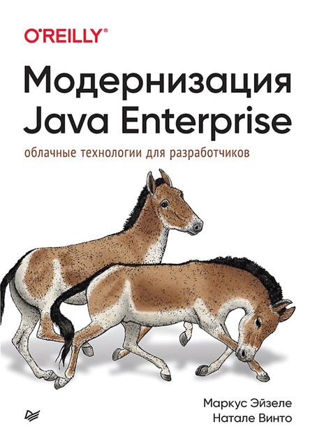 Модернизация Java Enterprise: облачные технологии для разработчиков, Маркус Эйзеле, Натале Винто