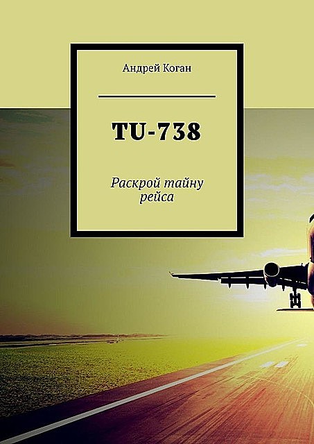 TU-738. Раскрой тайну рейса, Андрей Коган